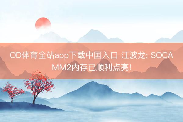 OD体育全站app下载中国入口 江波龙: SOCAMM2内存已顺利点亮!