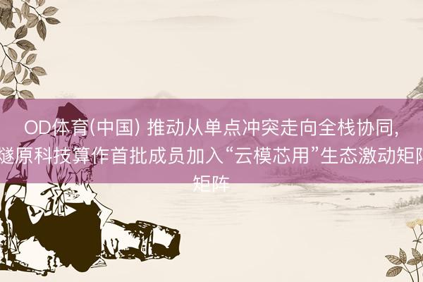 OD体育(中国) 推动从单点冲突走向全栈协同, 燧原科技算作首批成员加入“云模芯用”生态激动矩阵