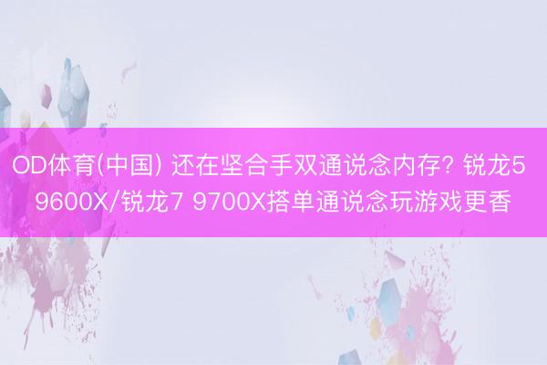 OD体育(中国) 还在坚合手双通说念内存? 锐龙5 9600X/锐龙7 9700X搭单通说念玩游戏更香