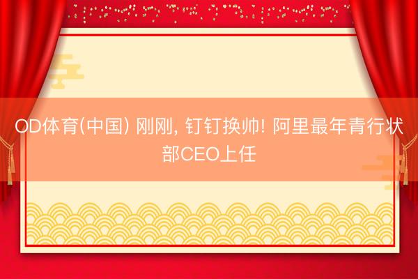 OD体育(中国) 刚刚, 钉钉换帅! 阿里最年青行状部CEO上任