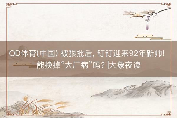 OD体育(中国) 被狠批后, 钉钉迎来92年新帅! 能换掉“大厂病”吗? |大象夜读