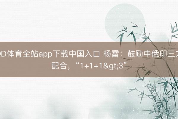 OD体育全站app下载中国入口 杨雷:鼓励中俄印三方配合,“1+1+1>3”