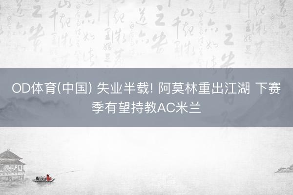 OD体育(中国) 失业半载! 阿莫林重出江湖 下赛季有望持教AC米兰