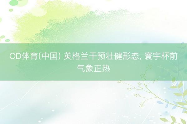 OD体育(中国) 英格兰干预壮健形态, 寰宇杯前气象正热