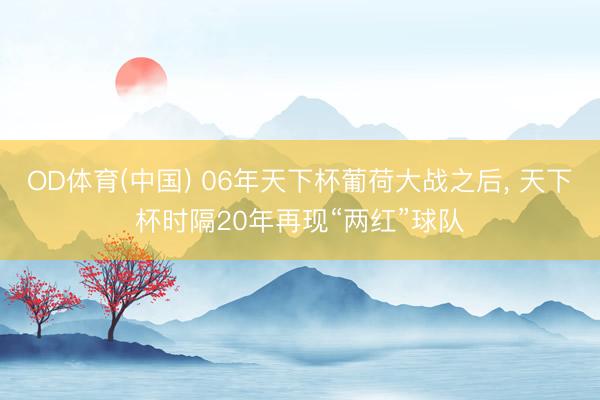 OD体育(中国) 06年天下杯葡荷大战之后, 天下杯时隔20年再现“两红”球队