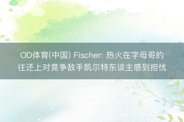 OD体育(中国) Fischer: 热火在字母哥的往还上对竞争敌手凯尔特东谈主感到担忧