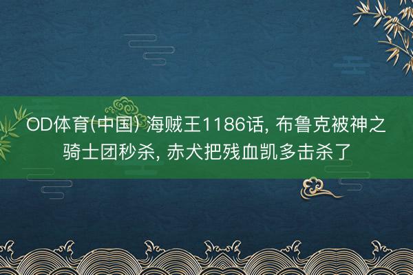 OD体育(中国) 海贼王1186话, 布鲁克被神之骑士团秒杀, 赤犬把残血凯多击杀了