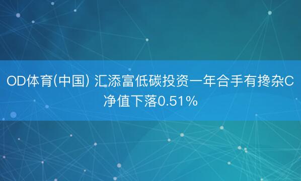 OD体育(中国) 汇添富低碳投资一年合手有搀杂C净值下落0.51%