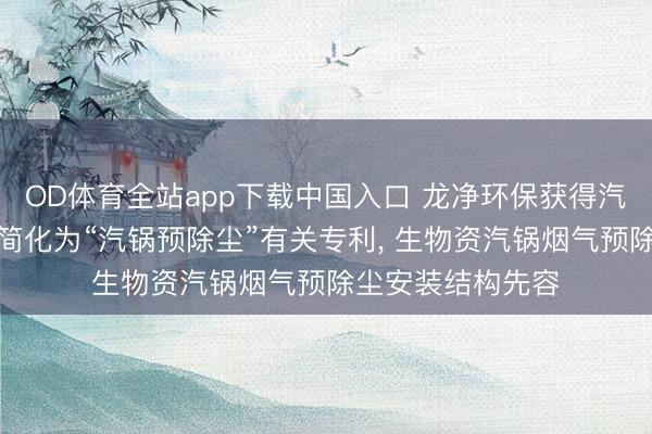 OD体育全站app下载中国入口 龙净环保获得汽锅预除尘安装可简化为“汽锅预除尘”有关专利, 生物资汽锅烟气预除尘安装结构先容