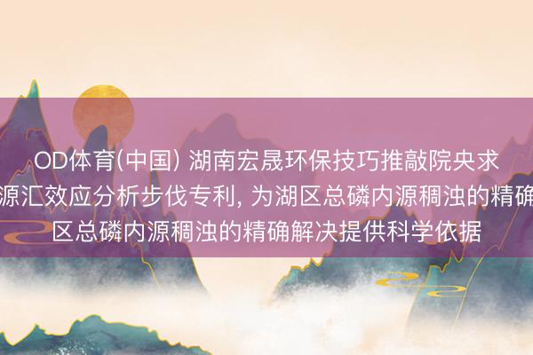 OD体育(中国) 湖南宏晟环保技巧推敲院央求一种湖区底质总磷源汇效应分析步伐专利, 为湖区总磷内源稠浊的精确解决提供科学依据