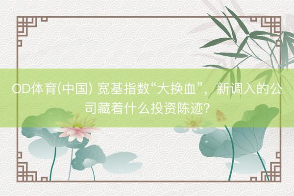 OD体育(中国) 宽基指数“大换血”，新调入的公司藏着什么投资陈迹？