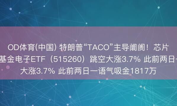 OD体育(中国) 特朗普“TACO”主导阛阓!芯片股坚强反弹!华宝基金电子ETF(515260)跳空大涨3.7% 此前两日一语气吸金1817万