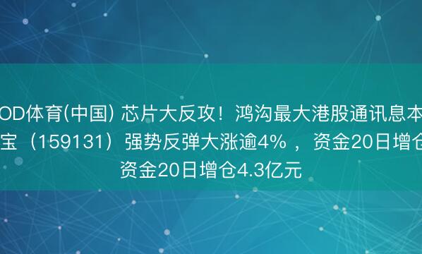 OD体育(中国) 芯片大反攻！鸿沟最大港股通讯息本领ETF华宝（159131）强势反弹大涨逾4% ，资金20日增仓4.3亿元