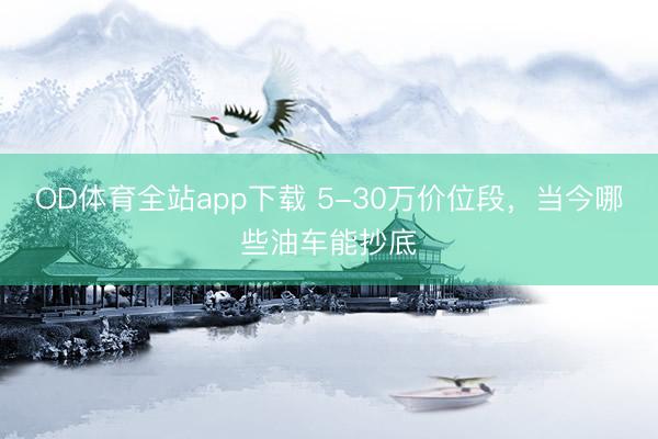 OD体育全站app下载 5-30万价位段，当今哪些油车能抄底