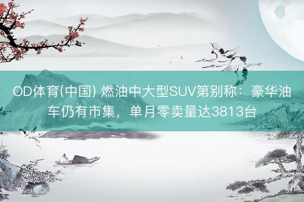 OD体育(中国) 燃油中大型SUV第别称：豪华油车仍有市集，单月零卖量达3813台