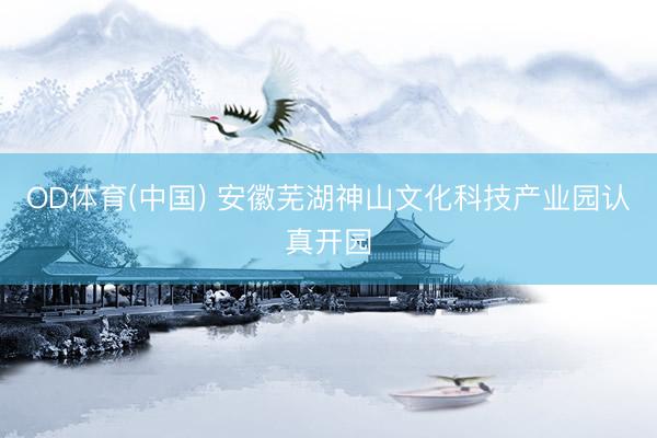 OD体育(中国) 安徽芜湖神山文化科技产业园认真开园