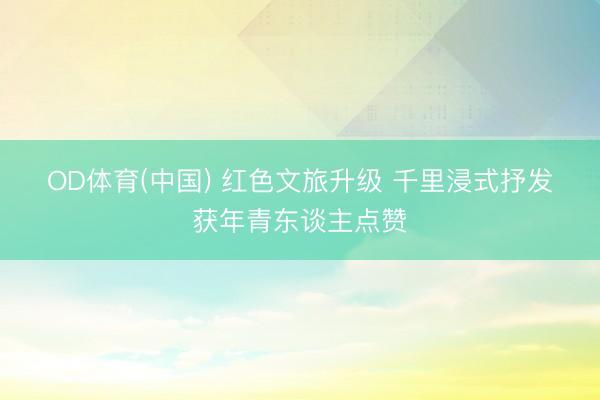 OD体育(中国) 红色文旅升级 千里浸式抒发获年青东谈主点赞