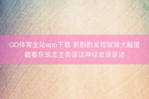 OD体育全站app下载 新斟酌发现狨猴大脑里藏着东说念主类谈话神经发源足迹