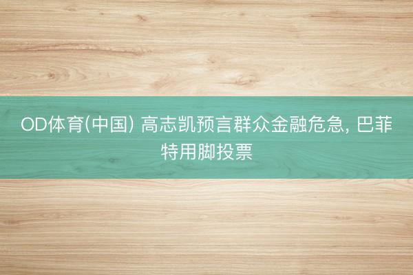 OD体育(中国) 高志凯预言群众金融危急， 巴菲特用脚投票