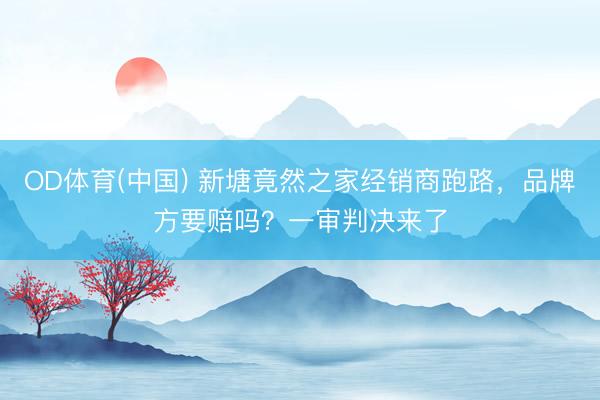 OD体育(中国) 新塘竟然之家经销商跑路，品牌方要赔吗？一审判决来了
