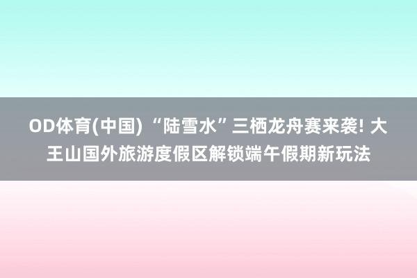 OD体育(中国) “陆雪水”三栖龙舟赛来袭! 大王山国外旅游度假区解锁端午假期新玩法
